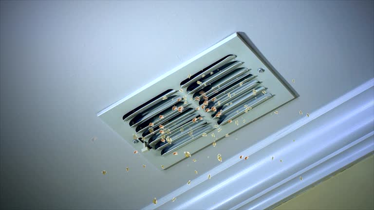 Best Affordable Air Duct Cleaning  in Atasdero, CA